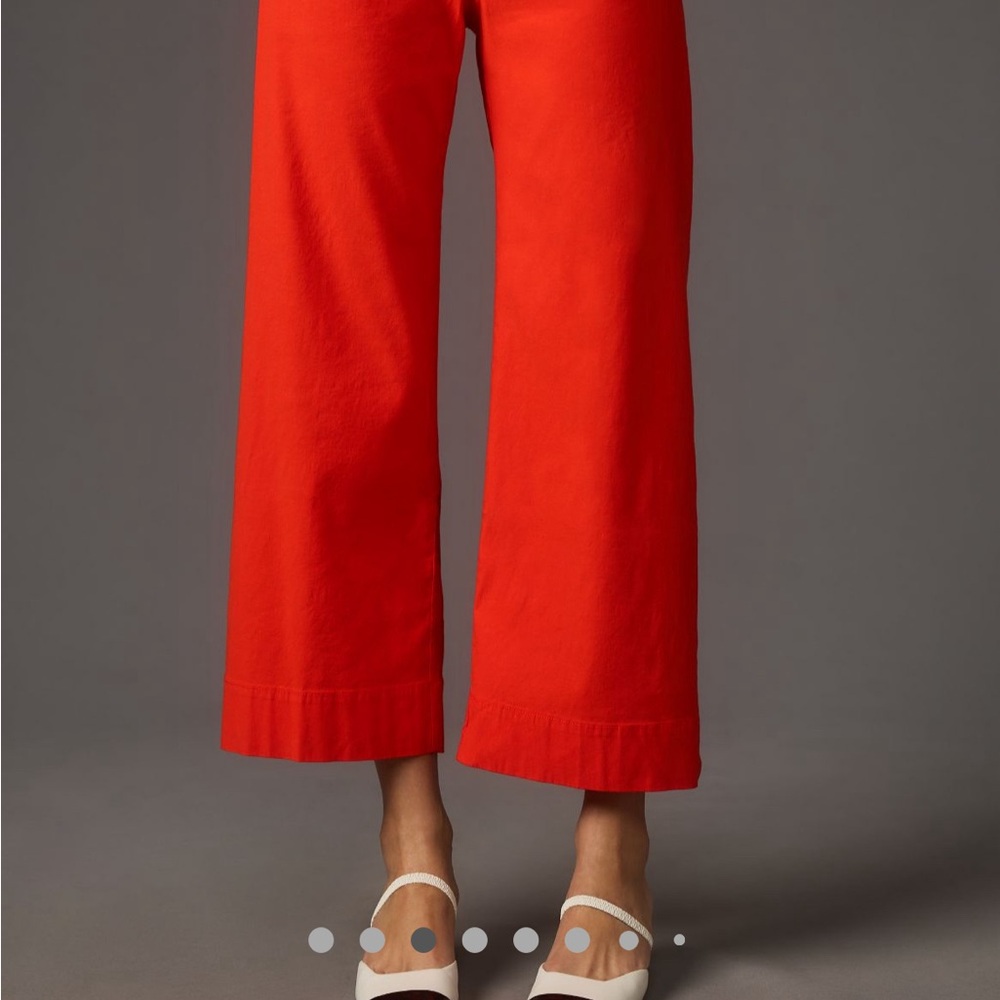 ANTHROPOLOGIE- Colette Wide Leg Pants 31